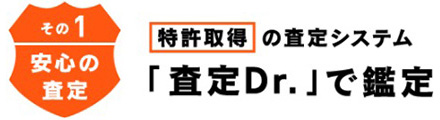 査定Dr.で鑑定